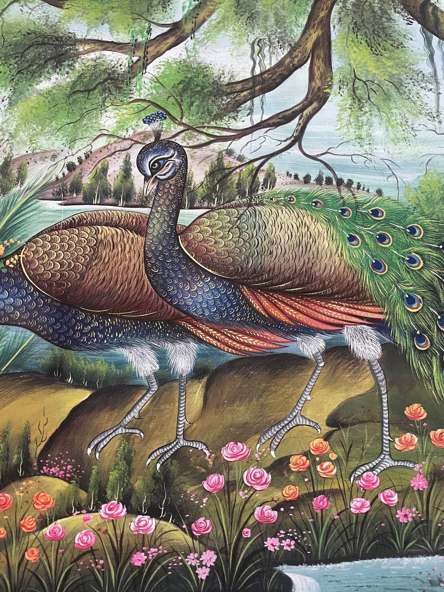 Majestic Peacock Amid Floral Splendor – Traditional Miniature Painting-Framed